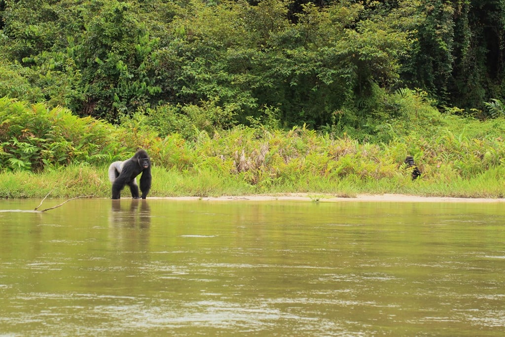 Djala&Djongo_15-10-2016