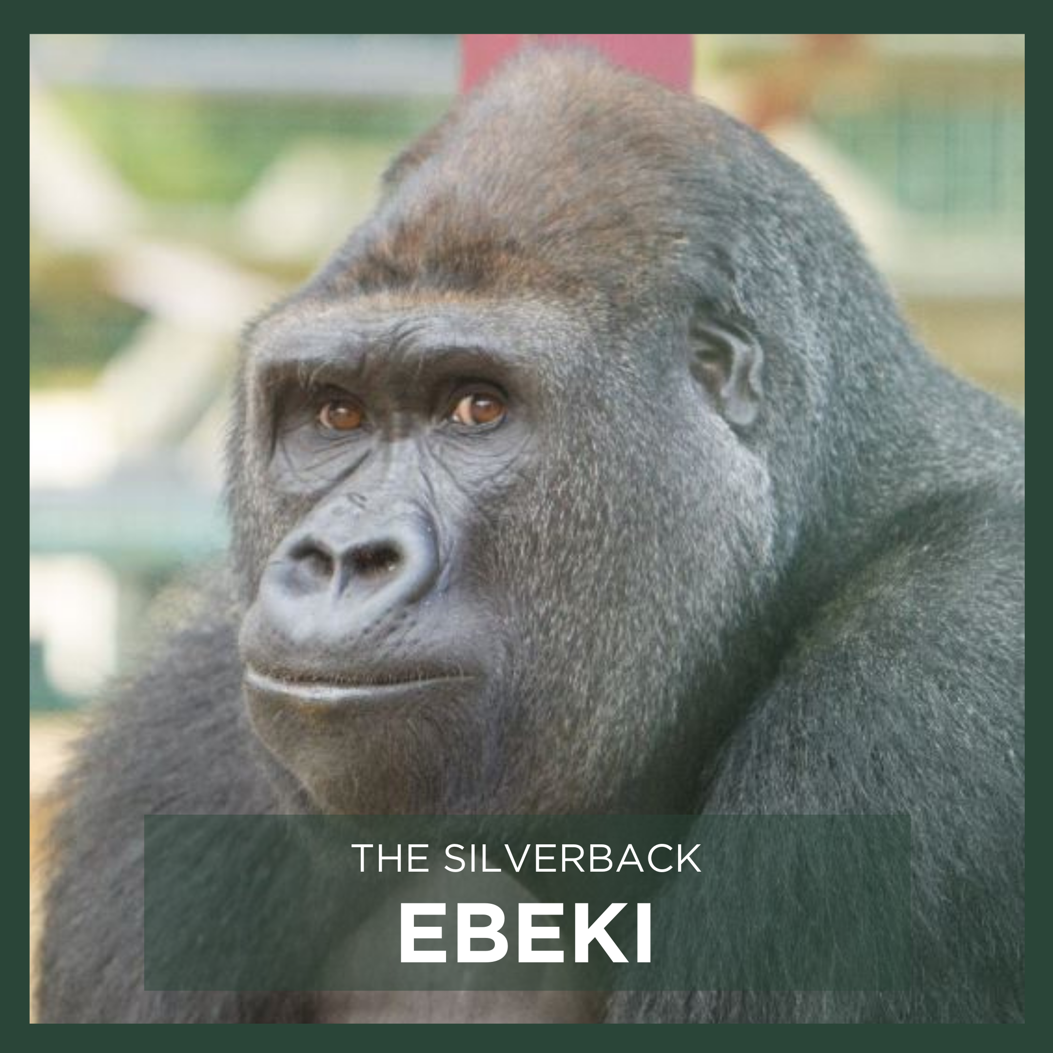 EBEKI