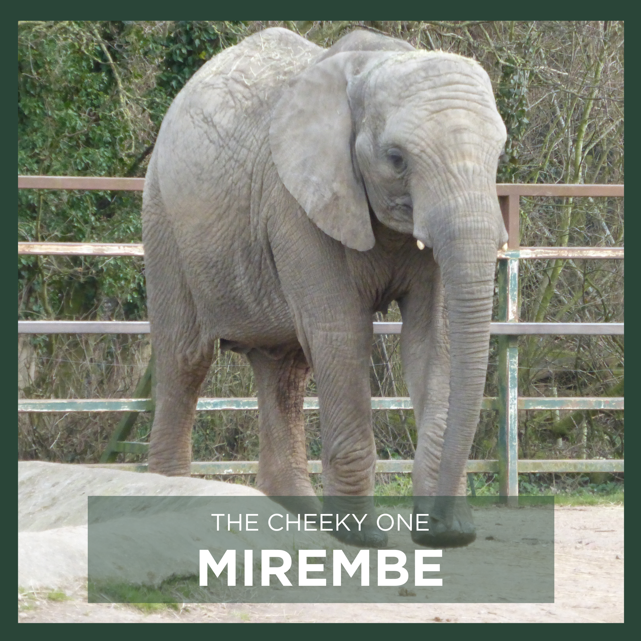 MIREMBE