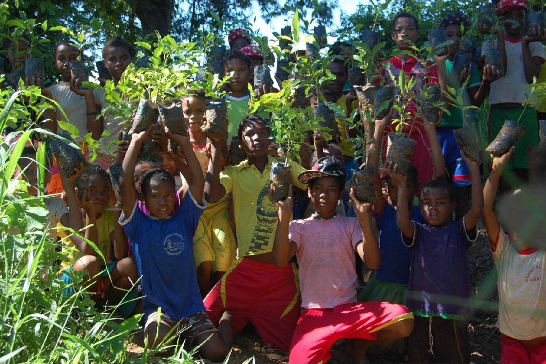 Aspinall 1706 reforestation Ambato Boeny project (1)