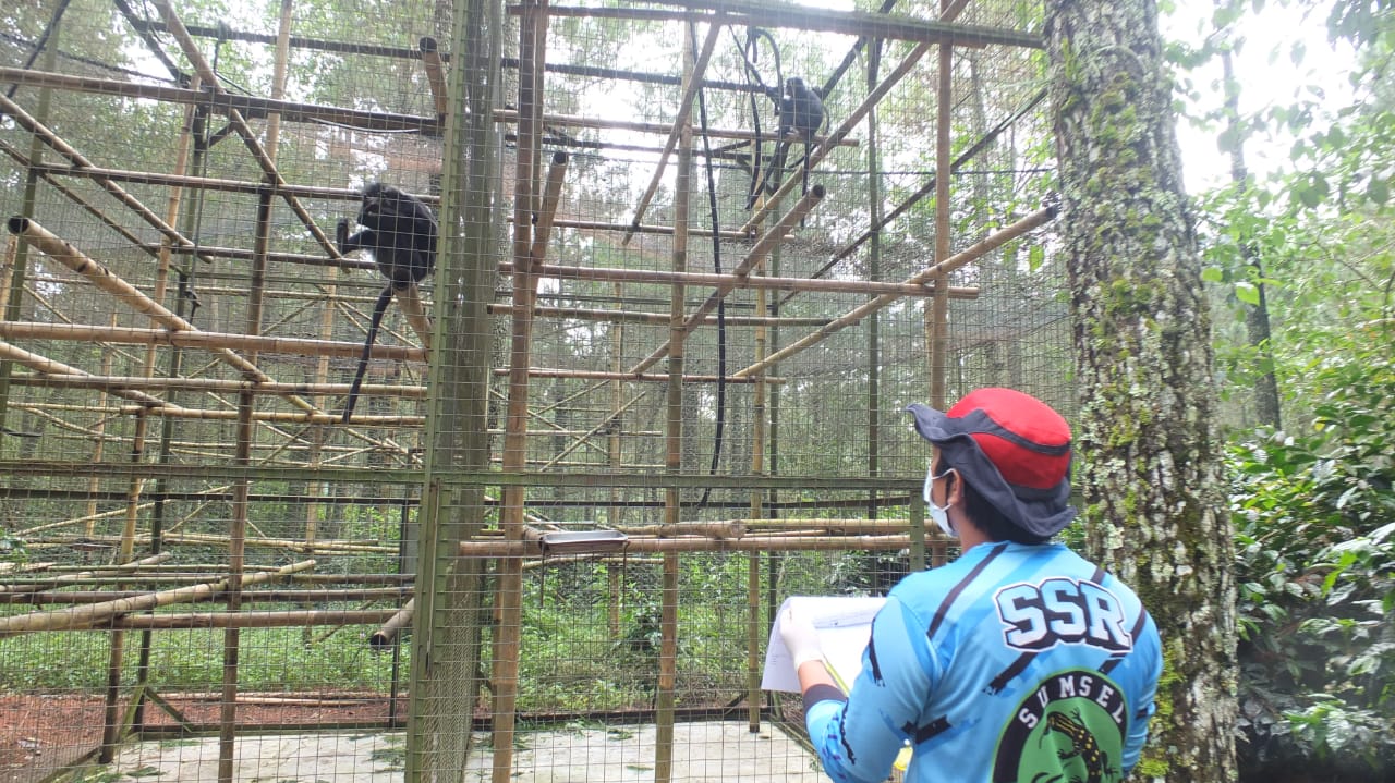 Keeper training observaions 2