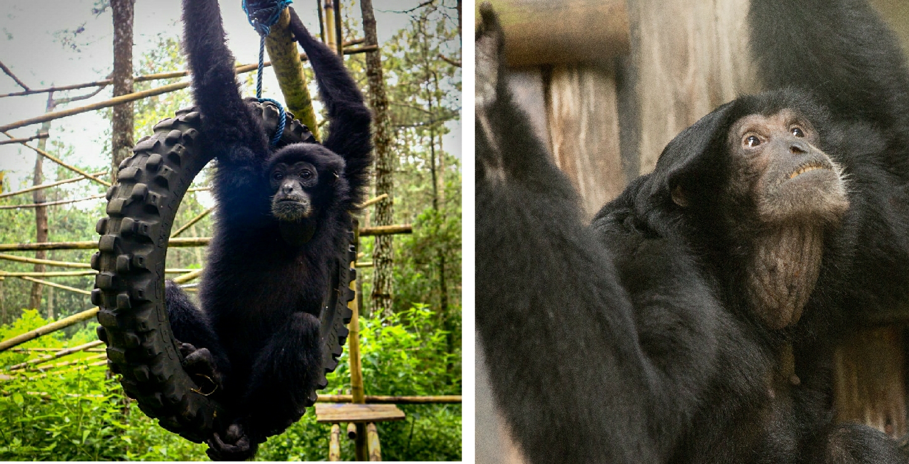 Announcing our first project in Sumatra
