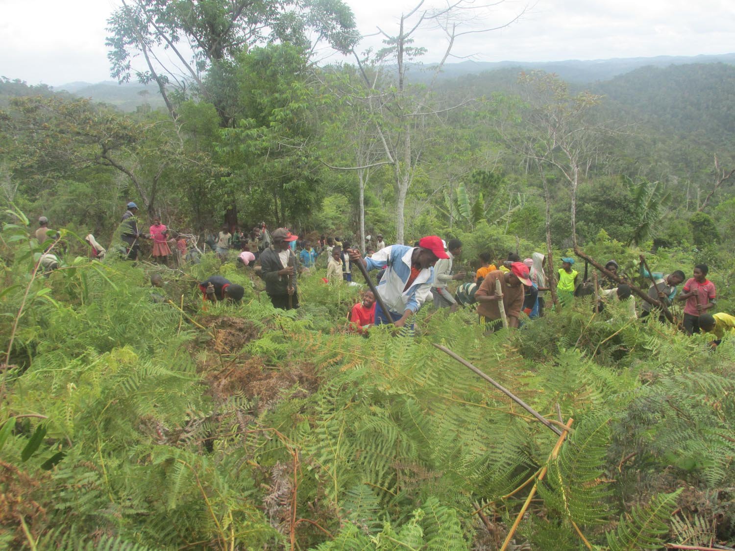 Reforestation with primary school in Sakalava 2