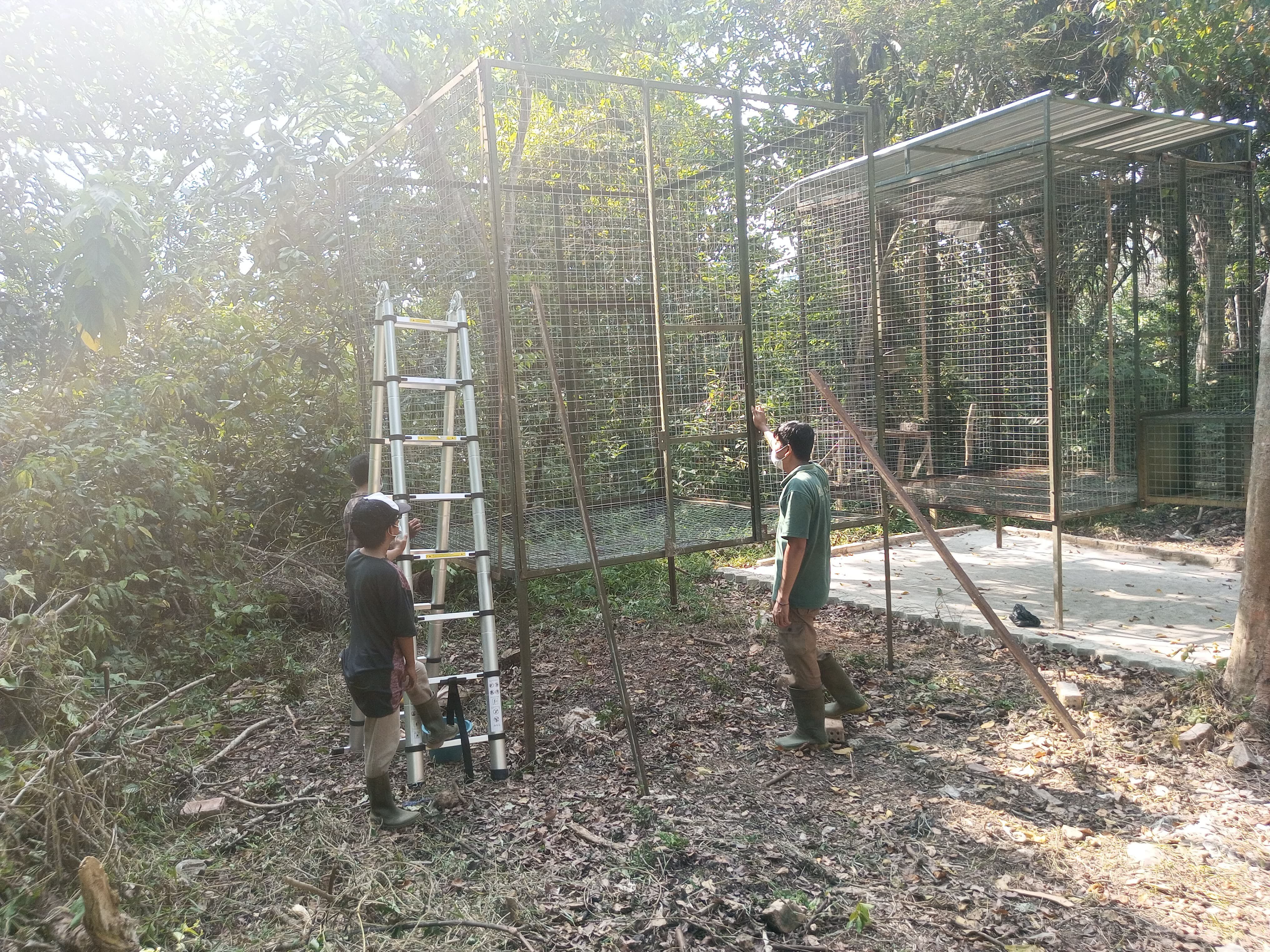 20240820 volunteers work for building cage