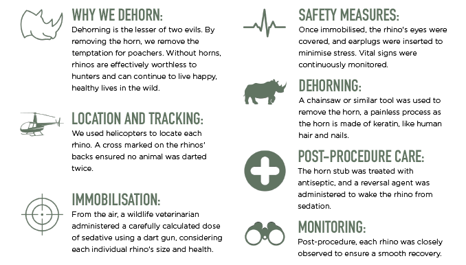 Dehorning process