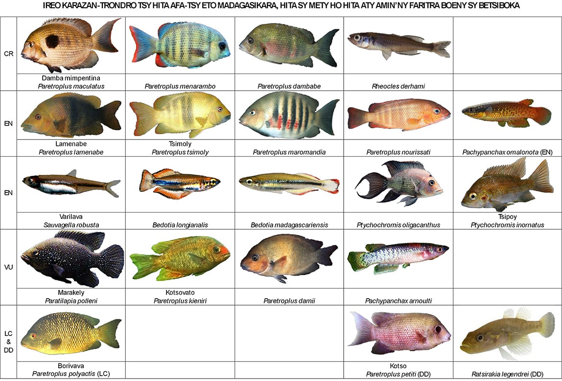 Fish-Identification-Chart_SMALL