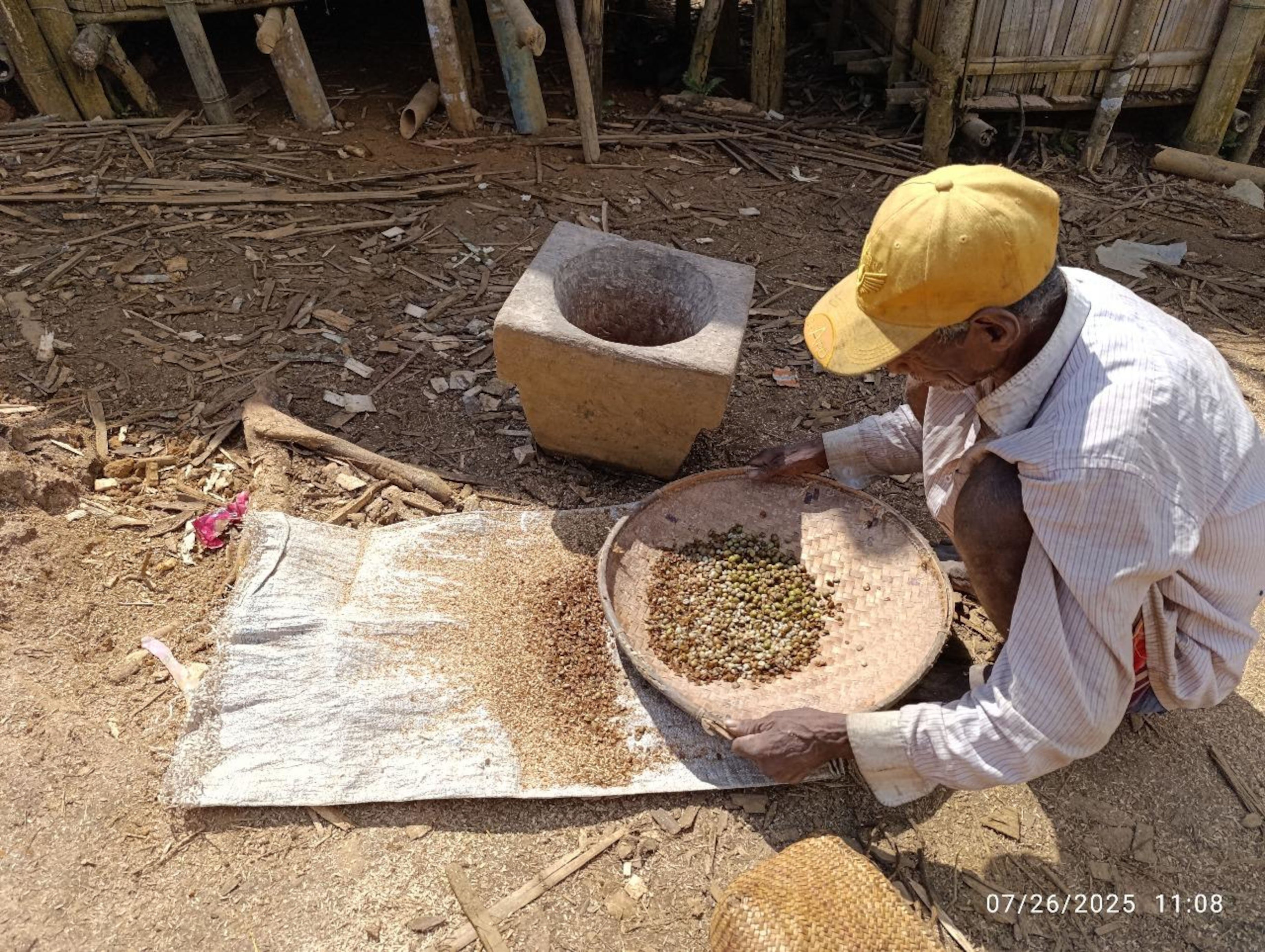 Coffee bean preparation process, Tolongoina