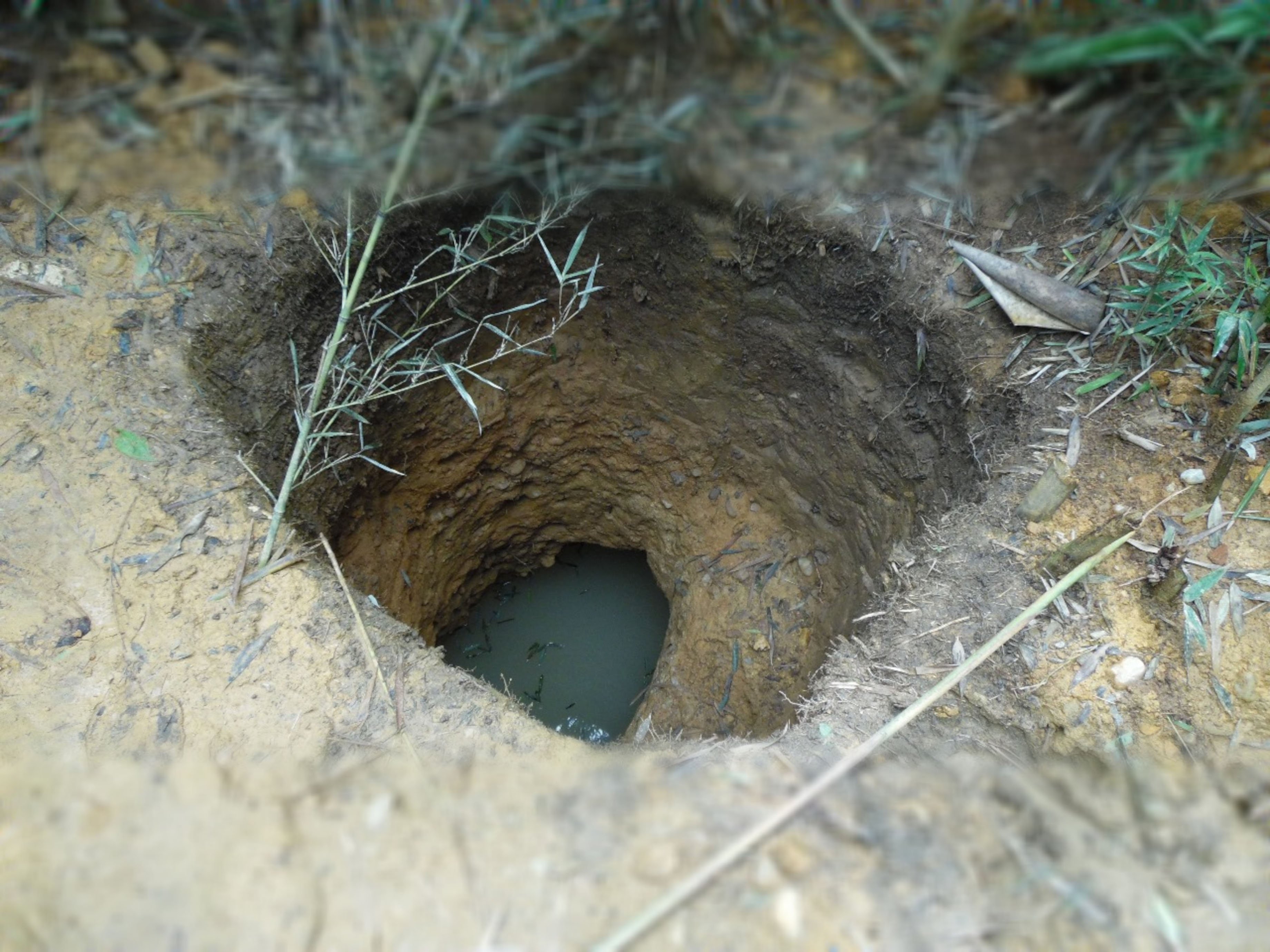 Example of hole dug by gold miners