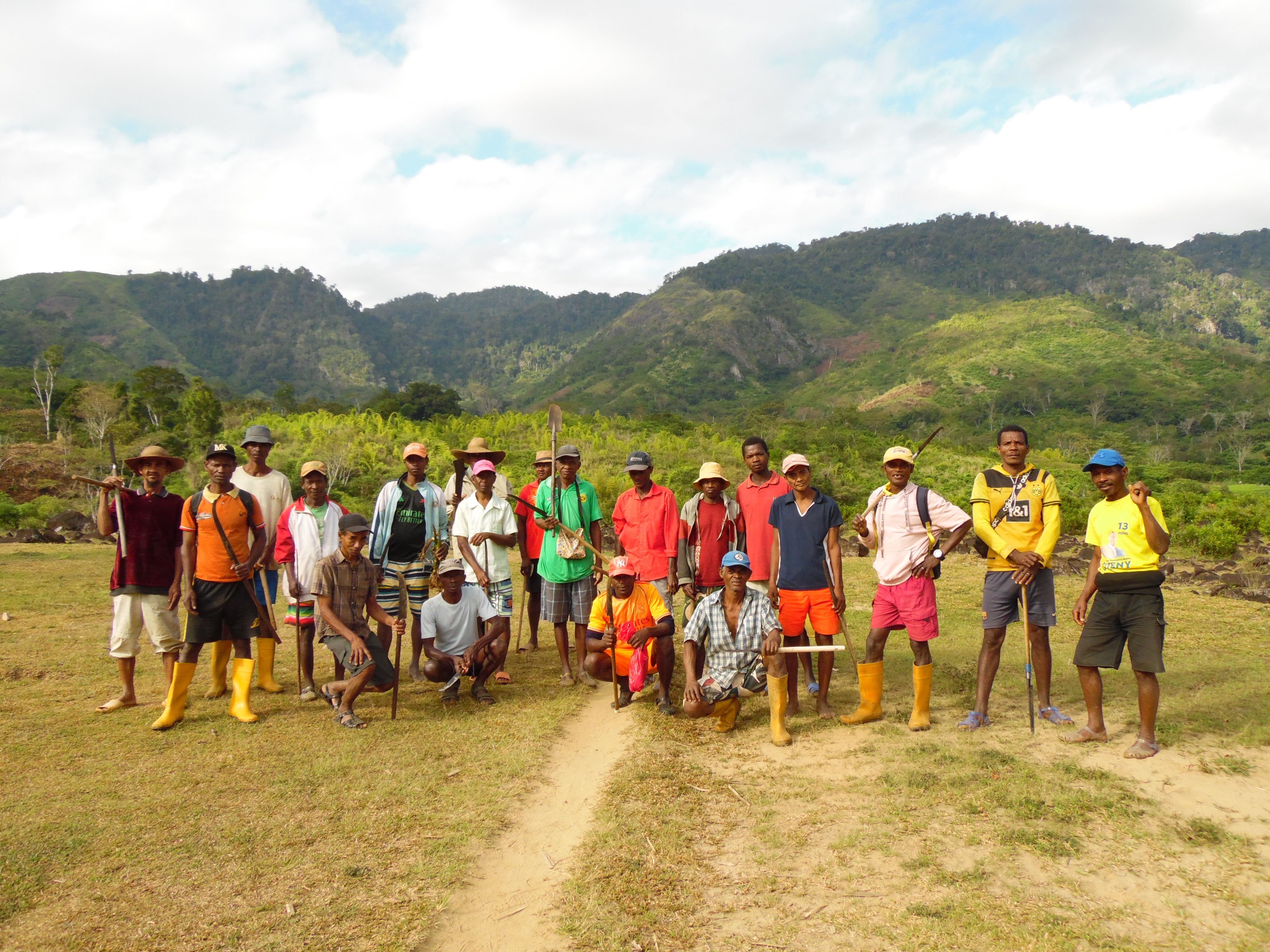 INVASIVE PLANT- Sahatoana (3)