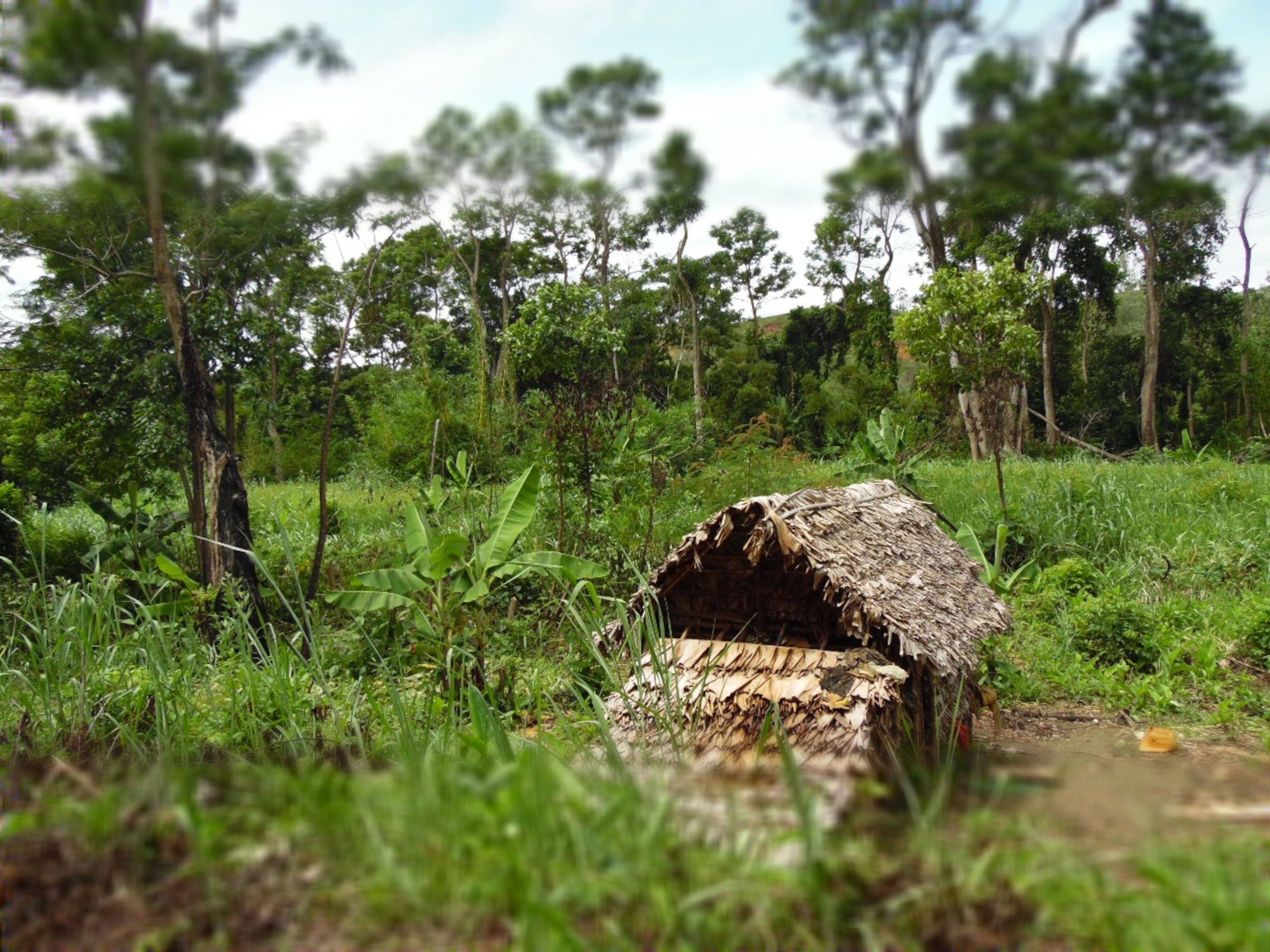 Illegal settlement