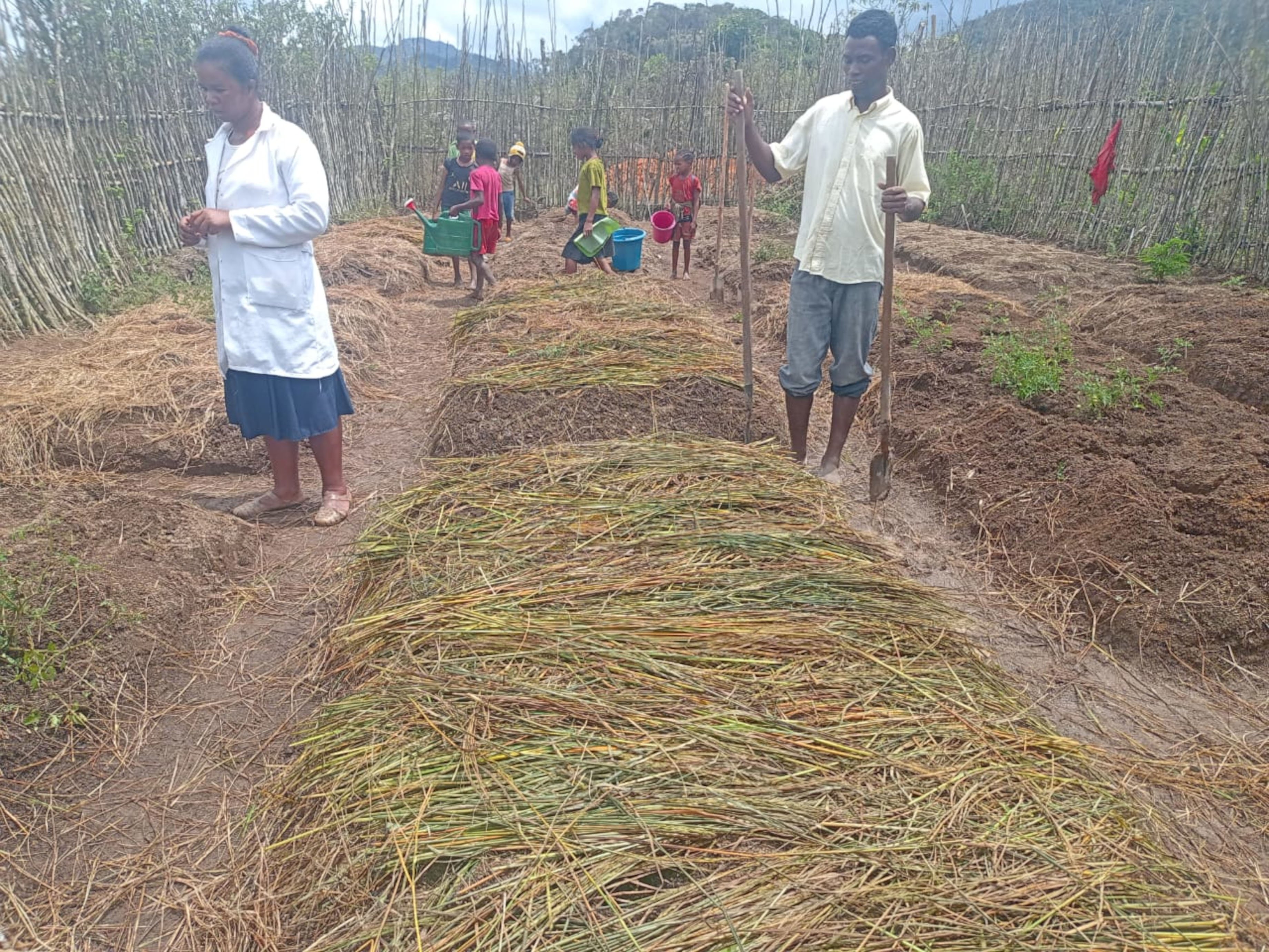 Mulching to preserve moisture in the ground