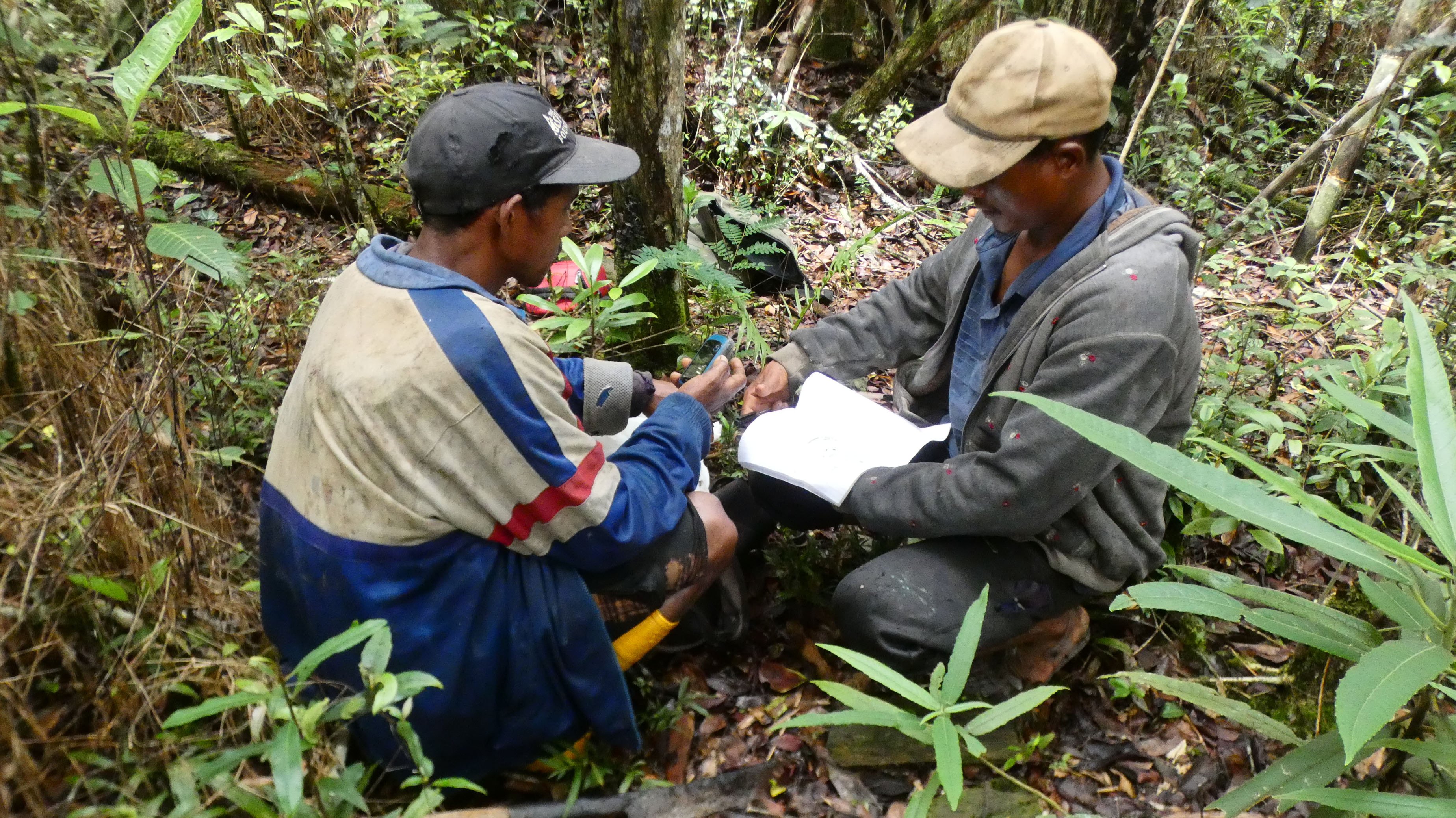 Rangers recording observations