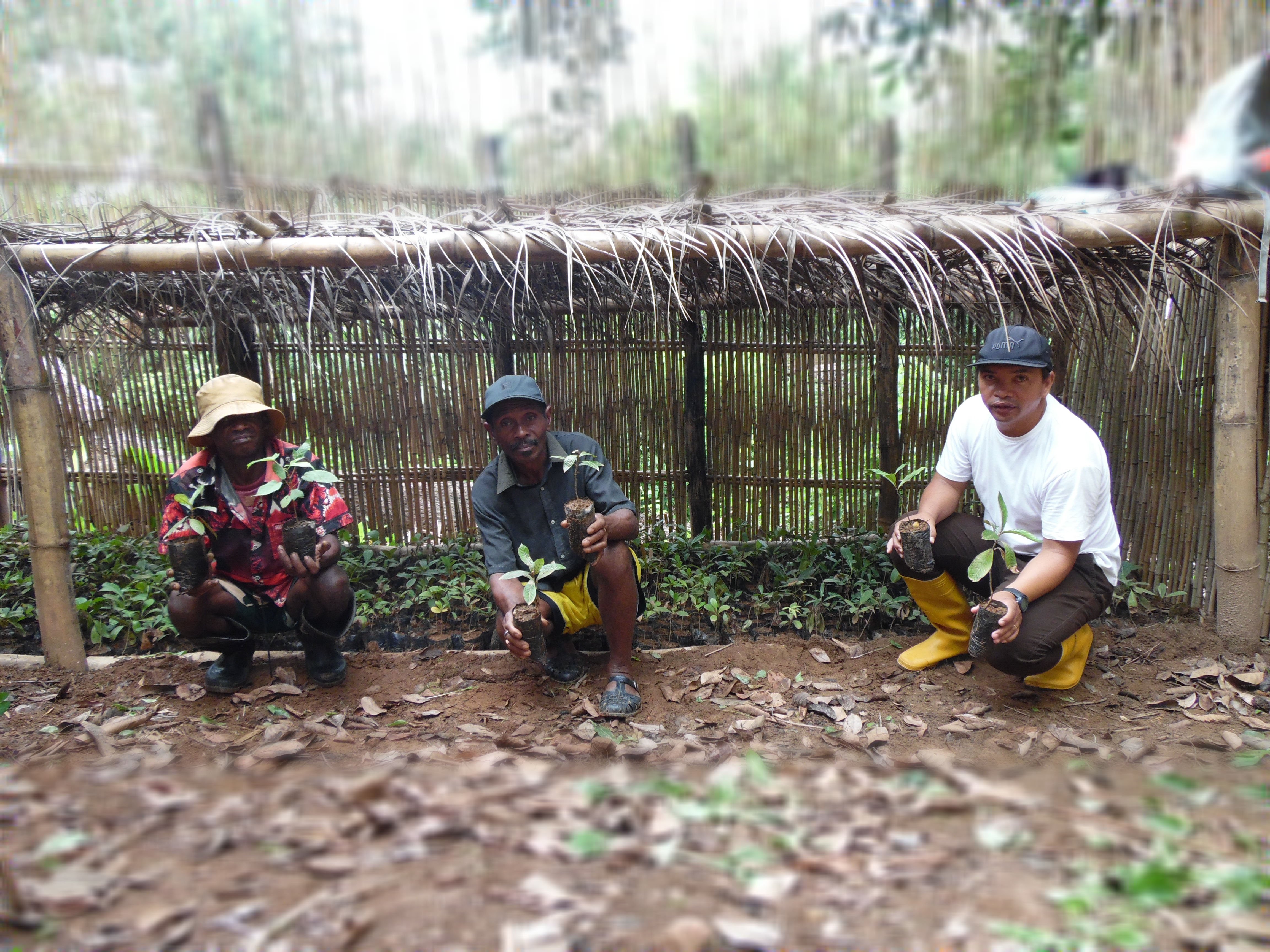 Reforestation_Ainga vao (18)