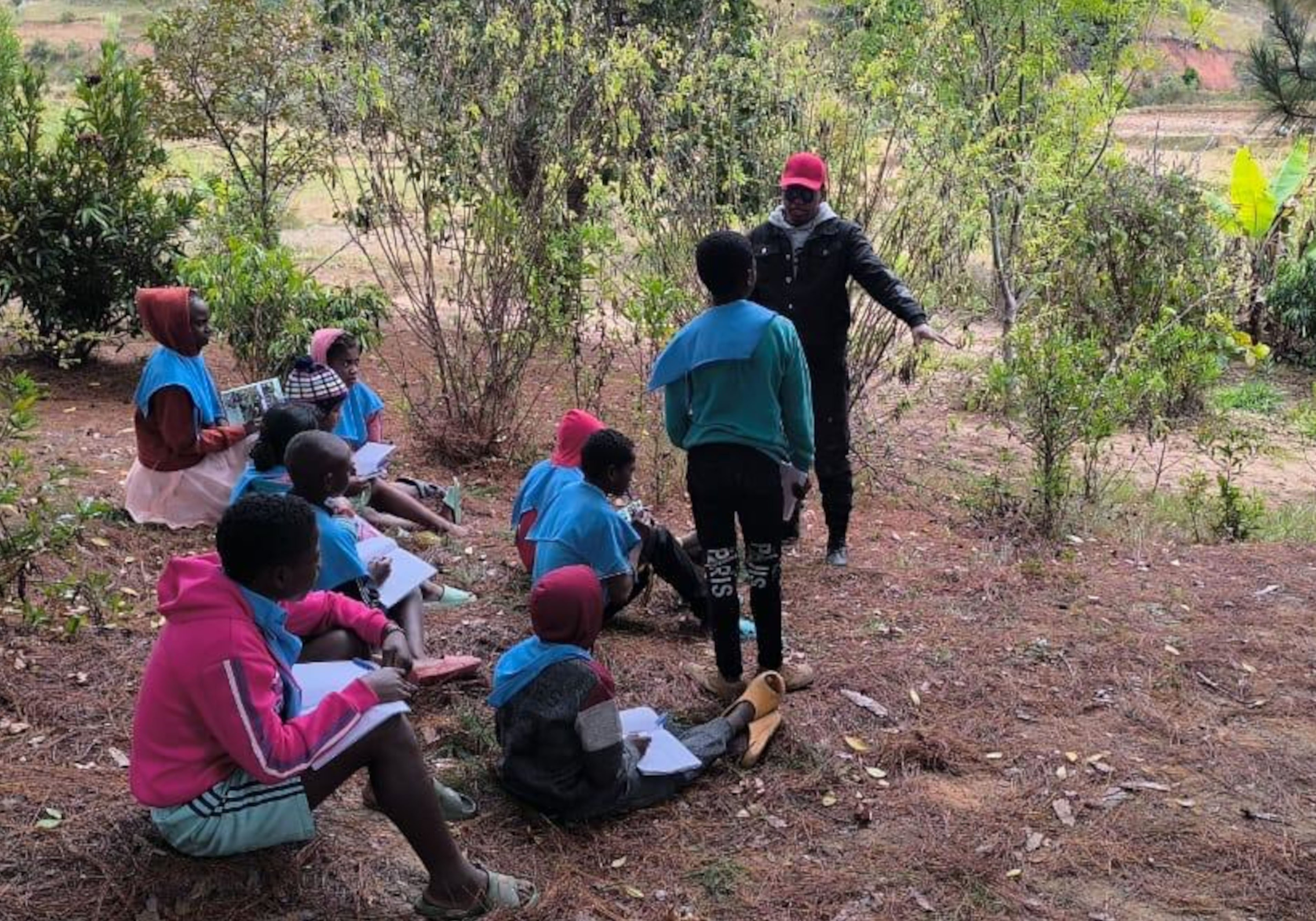 RianAko Analyzing the role of invertebrates and plant associations in a vegetable garden
