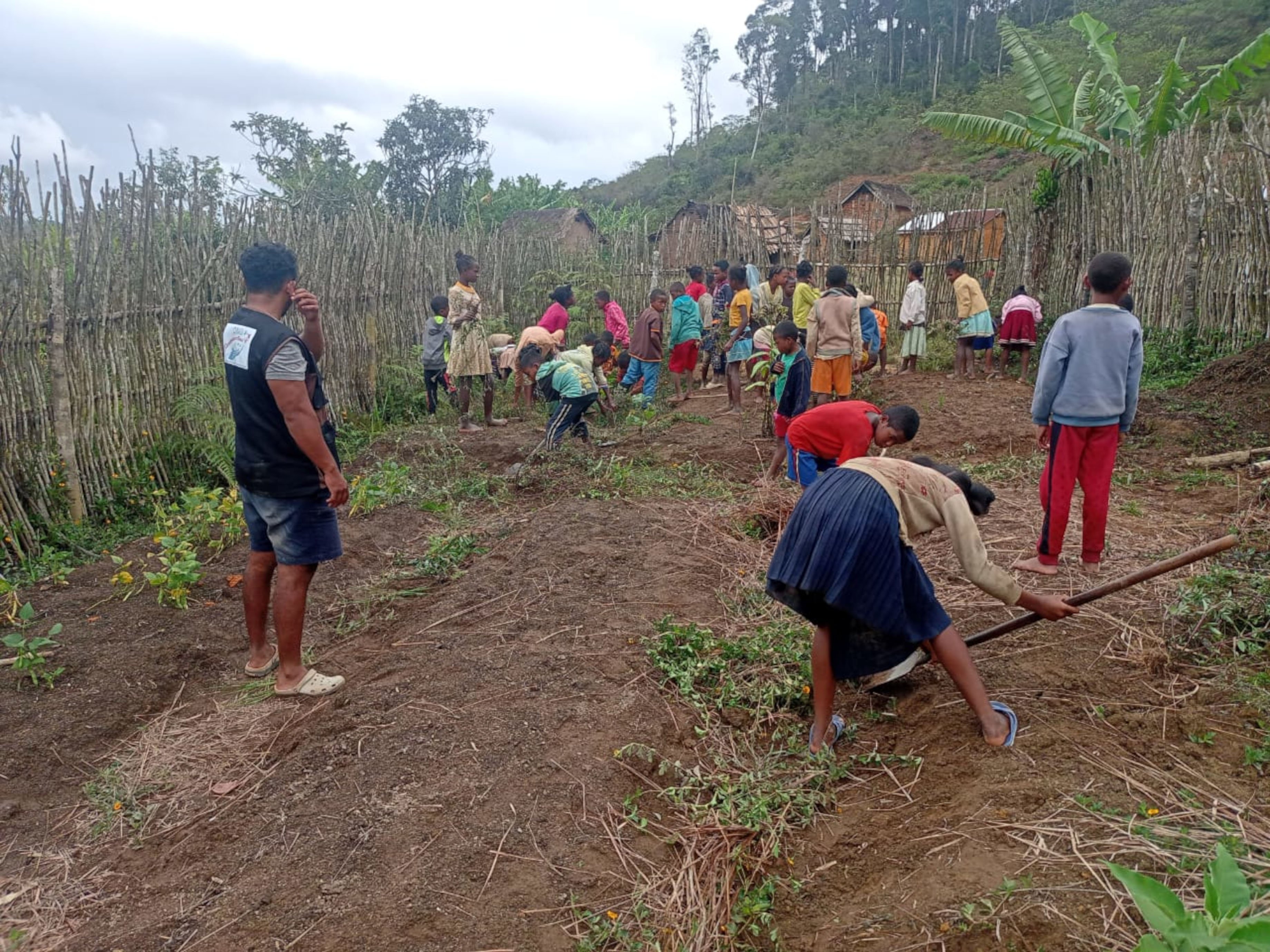 School children are active participants in market gardening