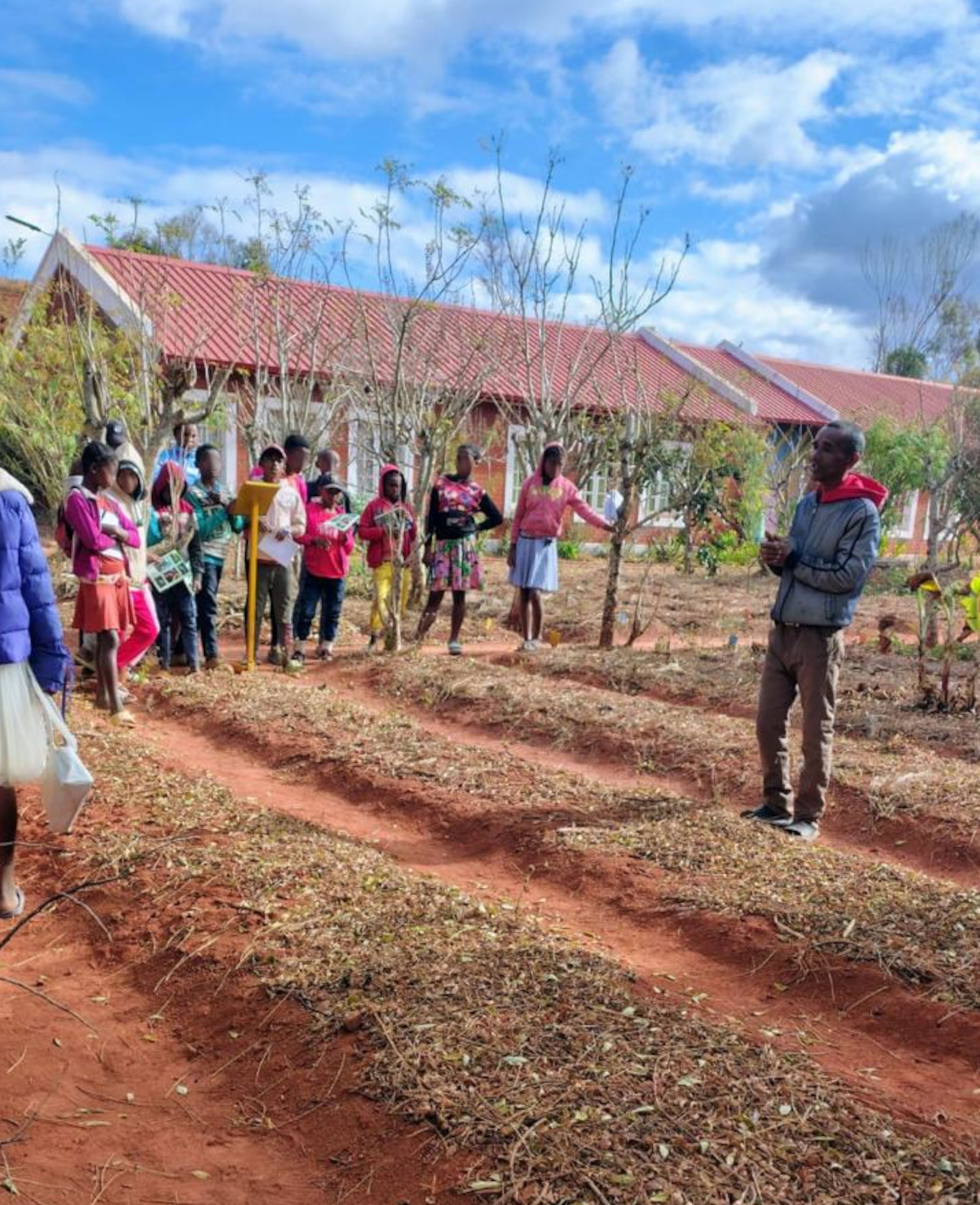 Tsaratanàna Observing innovative vegetable planting methods