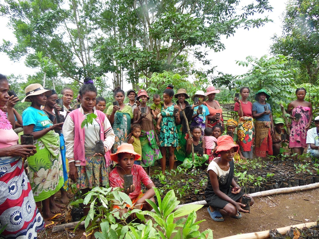 Women tending plants in tree nursery (3) 2025-05-26 at 22.16.32 (1)