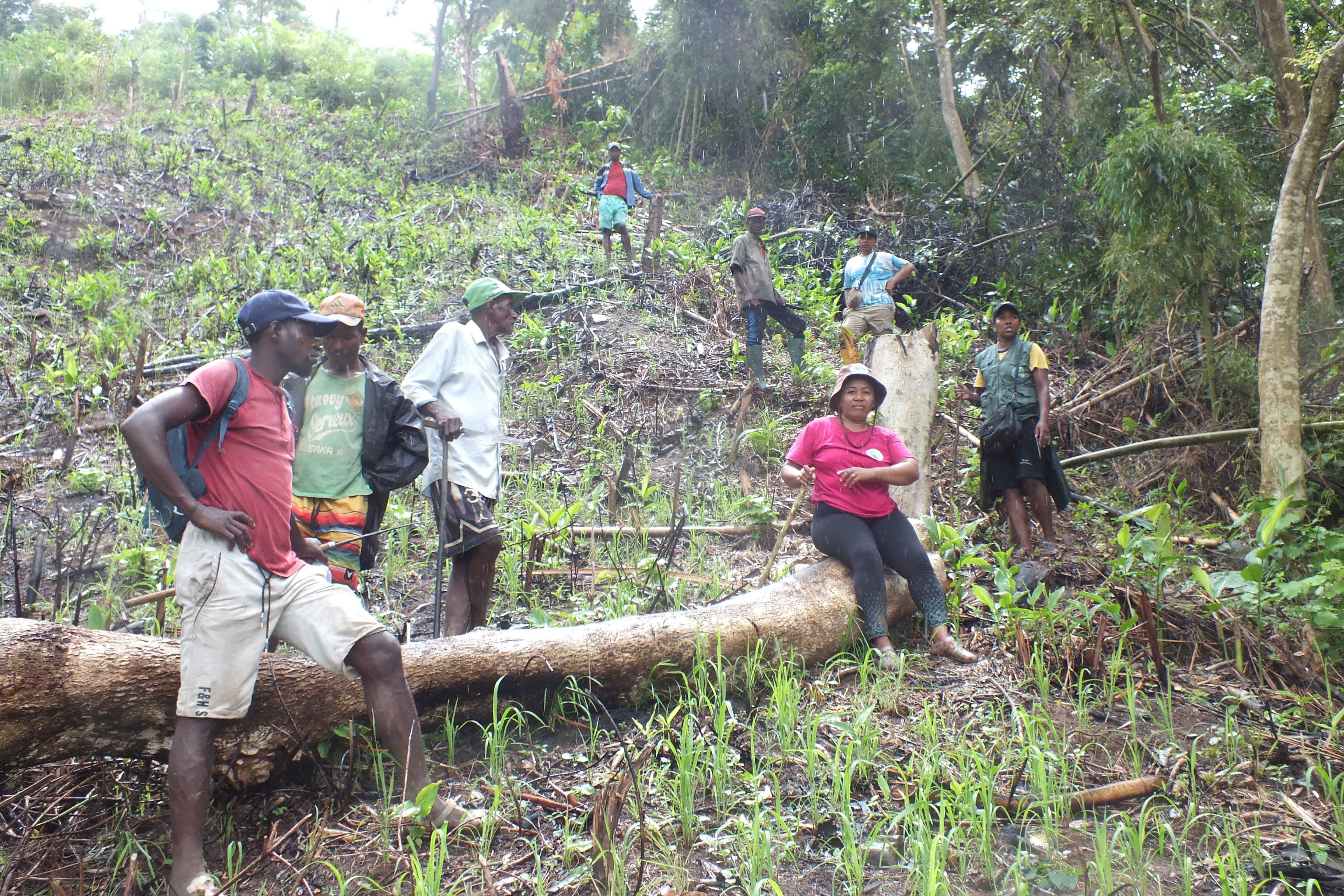 Assessment of the Dimbiazanjafy VOI (3)