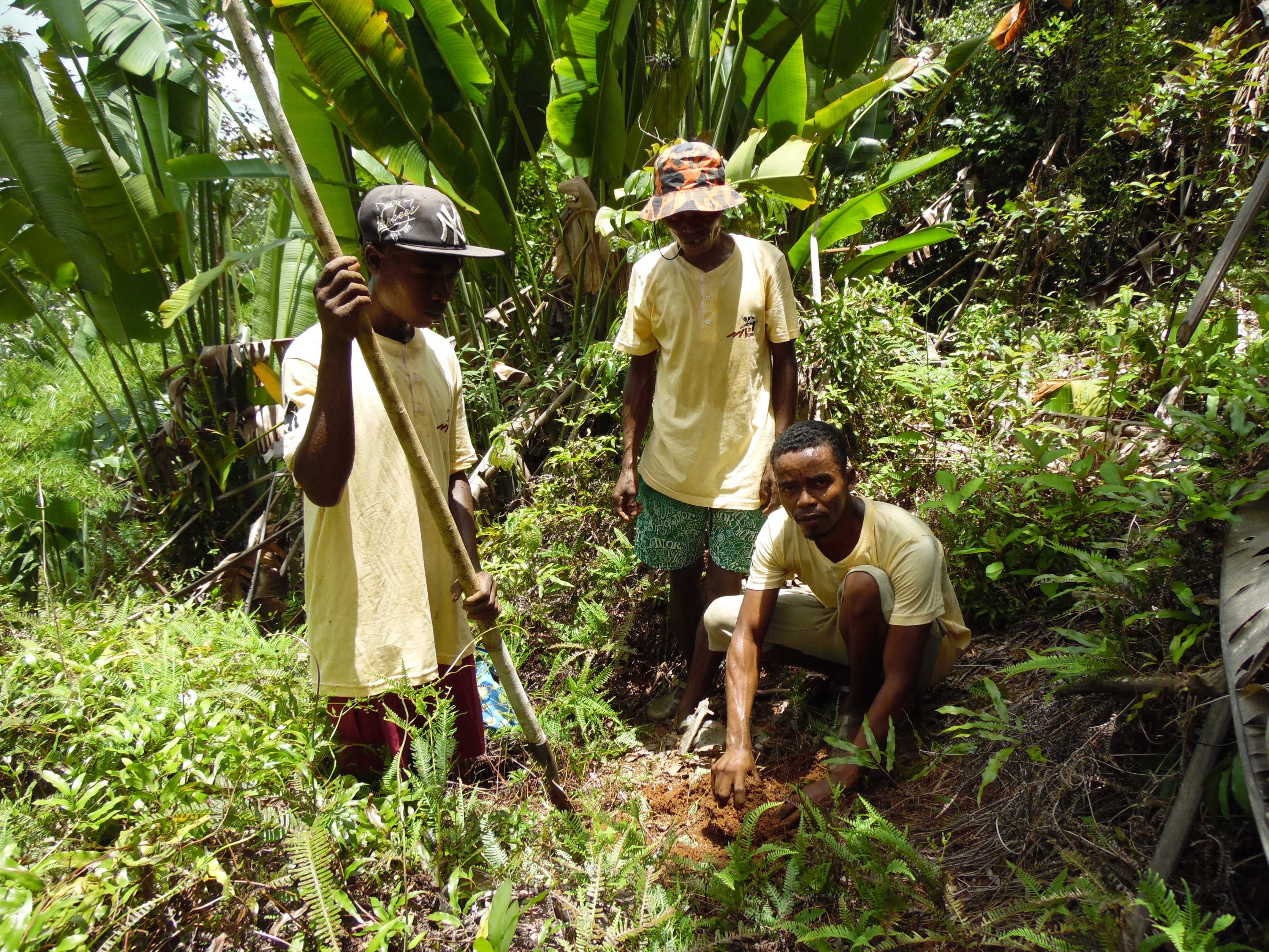Community Conservation Committees_reforestation (2)