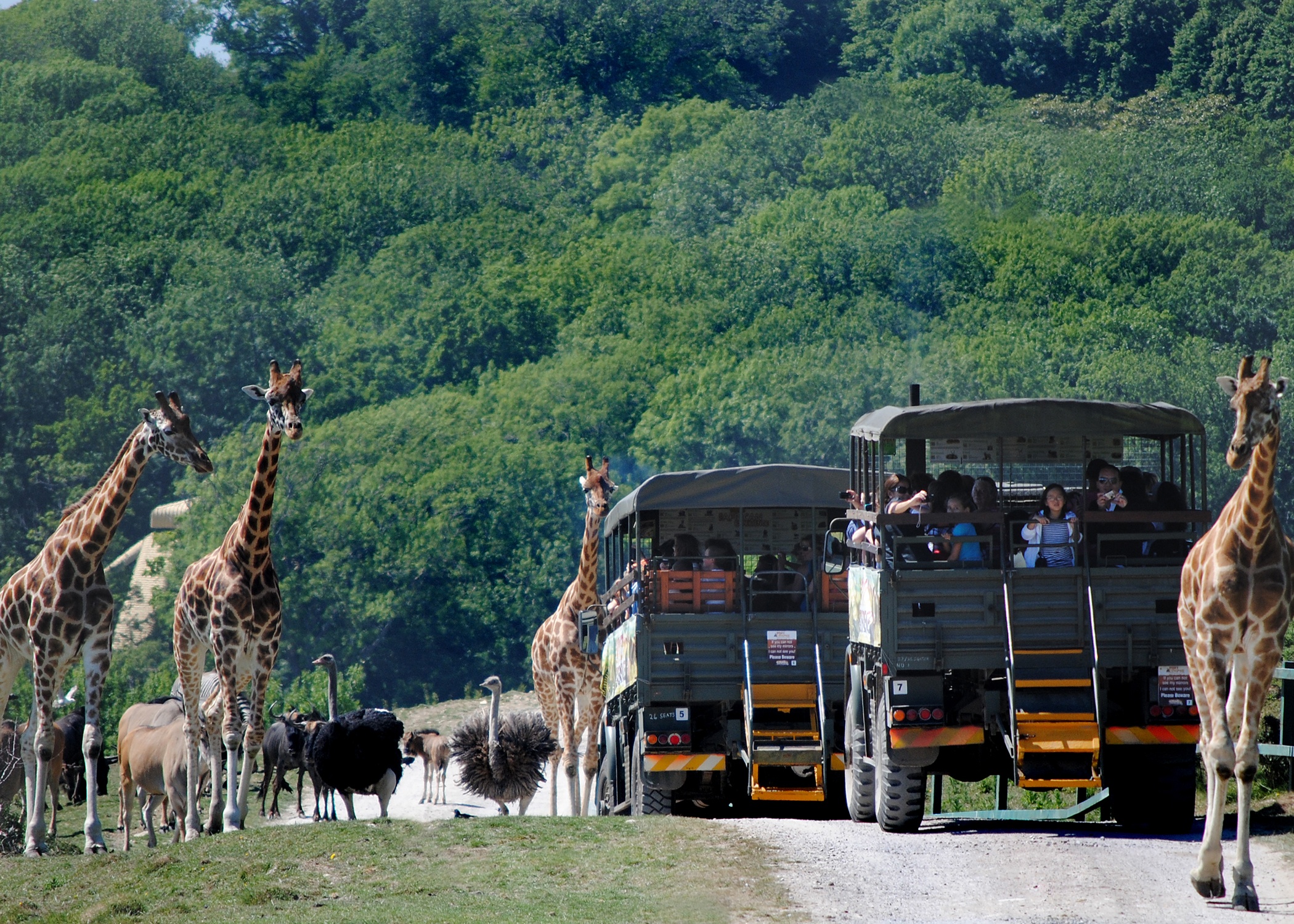 PORT-LYMPNE-RESERVE_Plan-Your-Visit