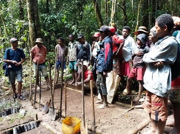 Community Management of Tree Nurseries