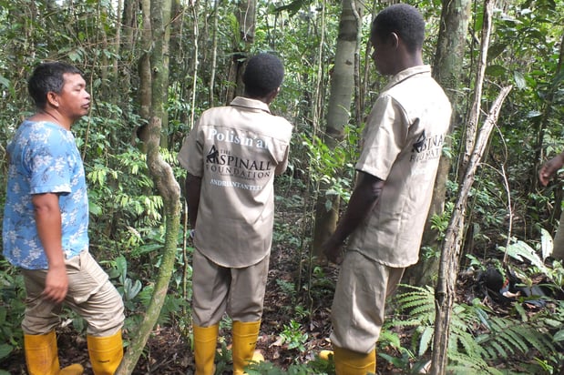 Field Coordinator Haingo Working with Rangers