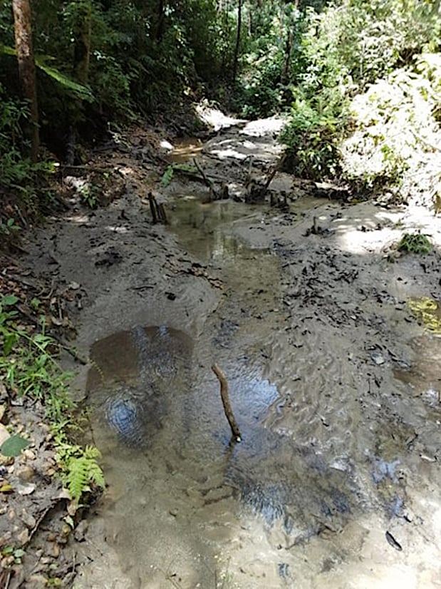 Holes Dug by Illegal Gold Mining Activities