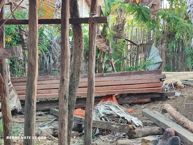 The illegal planks seized in Lanonana