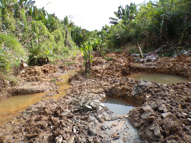 The rice fields at the Mangabe site affected by gold mining activities (1)