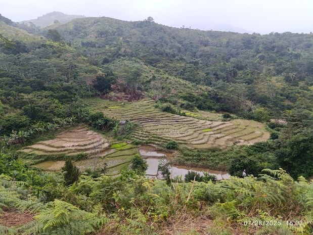 Landscape near Manevatanana village