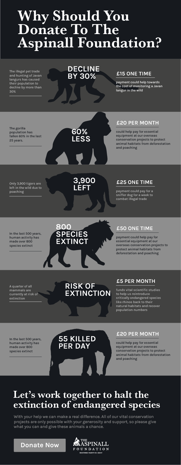 TAF Donation infographic v5