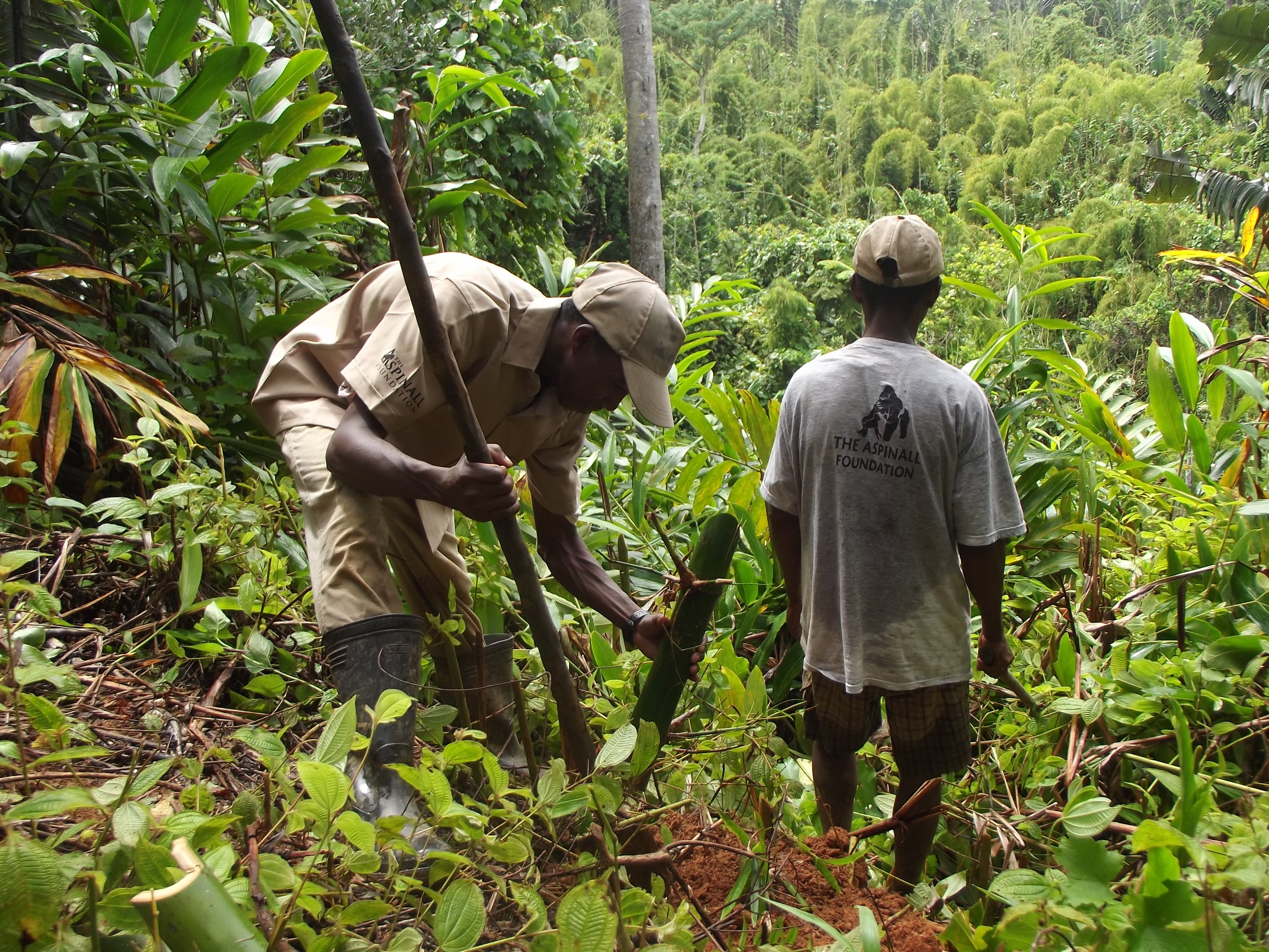 Reforestation at Lanonana by Haingo (9)