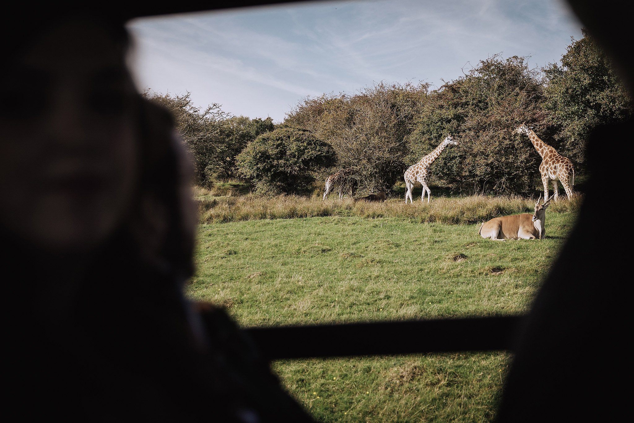 Safari wedding