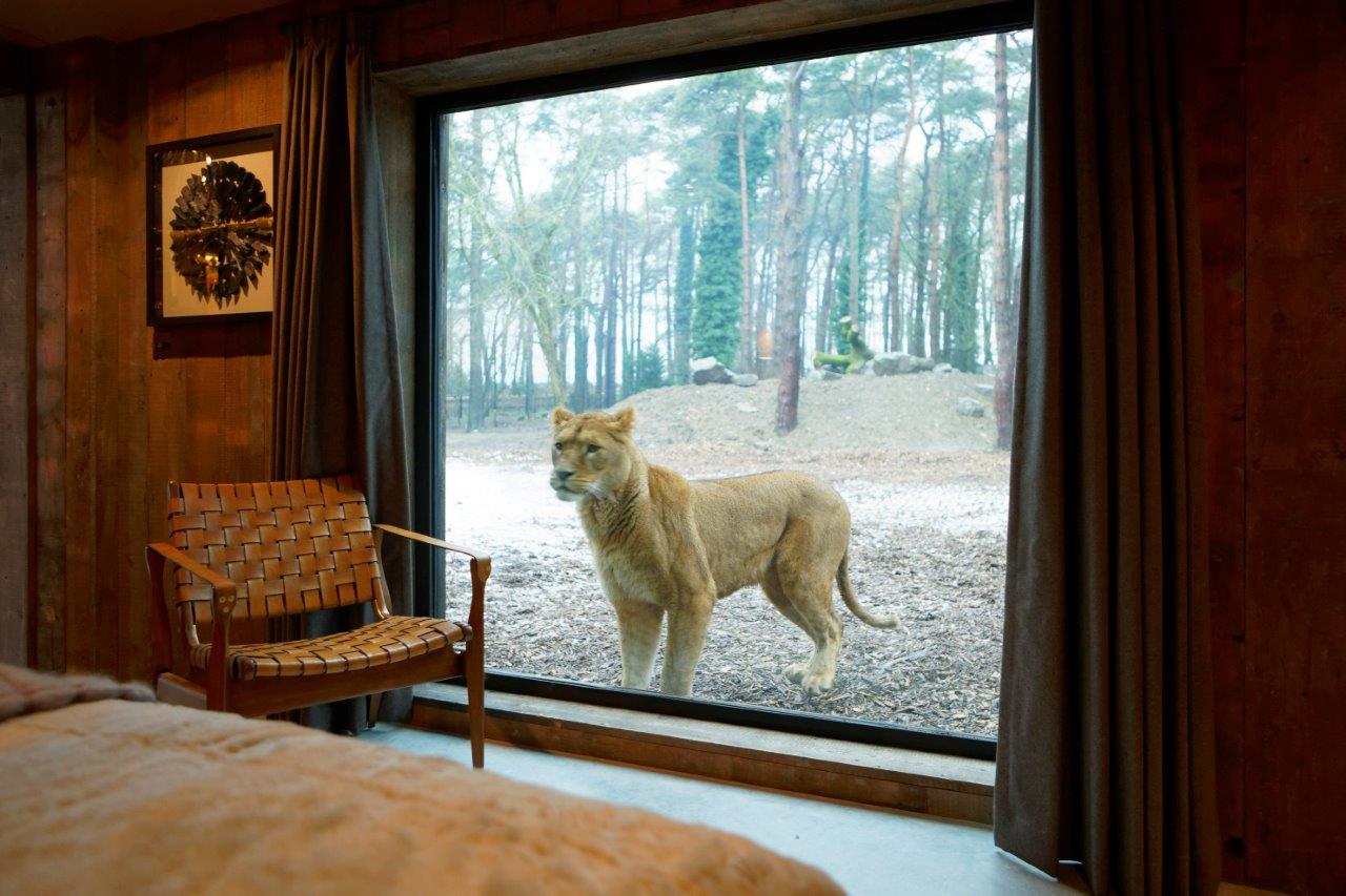 LionLodge_Port Lympne_Bedroom View_014_hires